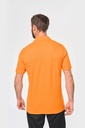 TTX-SEC:8bb44bdd18aed5b2