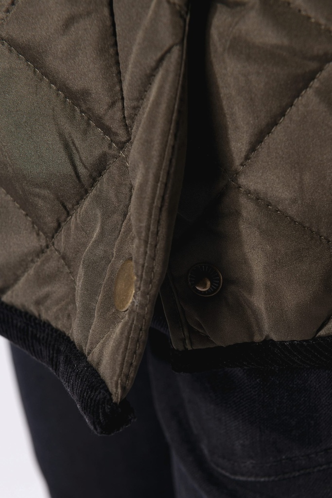 Image secondaire #10