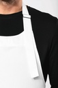 Image secondaire #10