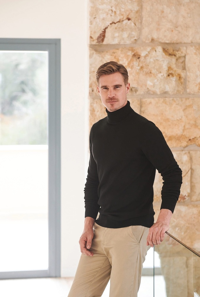 Pull col roulé (H727)