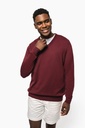 Pull col V homme (K965)