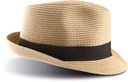 Chapeau Panama (KP068)