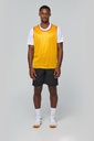 Chasuble réversible multisports unisexe (PA042)
