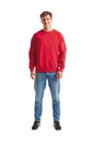 Sweat-shirt manches raglan (62-216-0) (SC4)