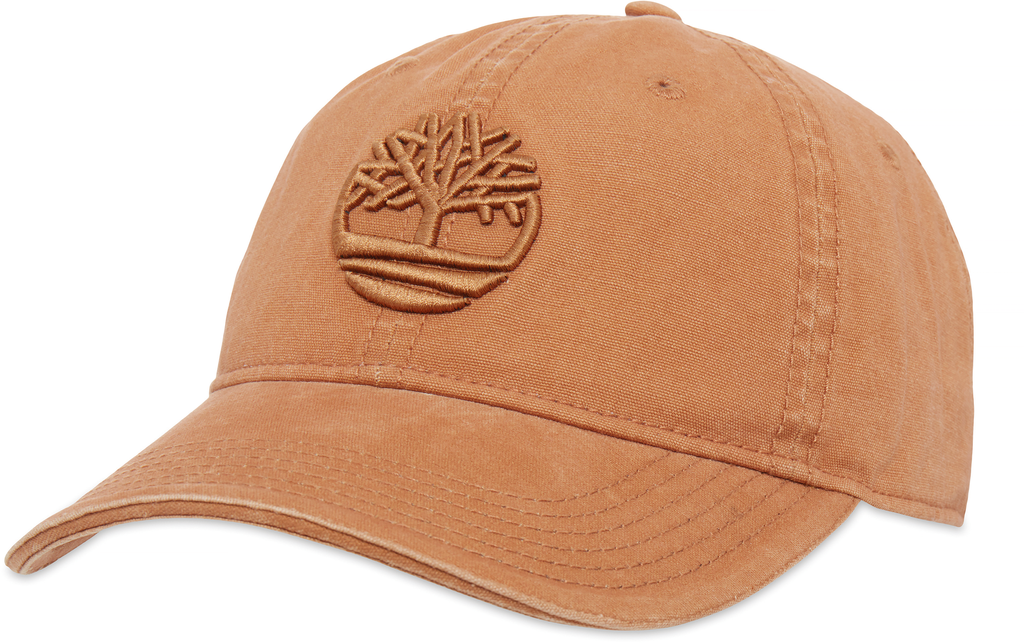 Casquette Baseball (TBA1E9M)