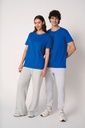 T-shirt unisexe iDeal170 (IB316)
